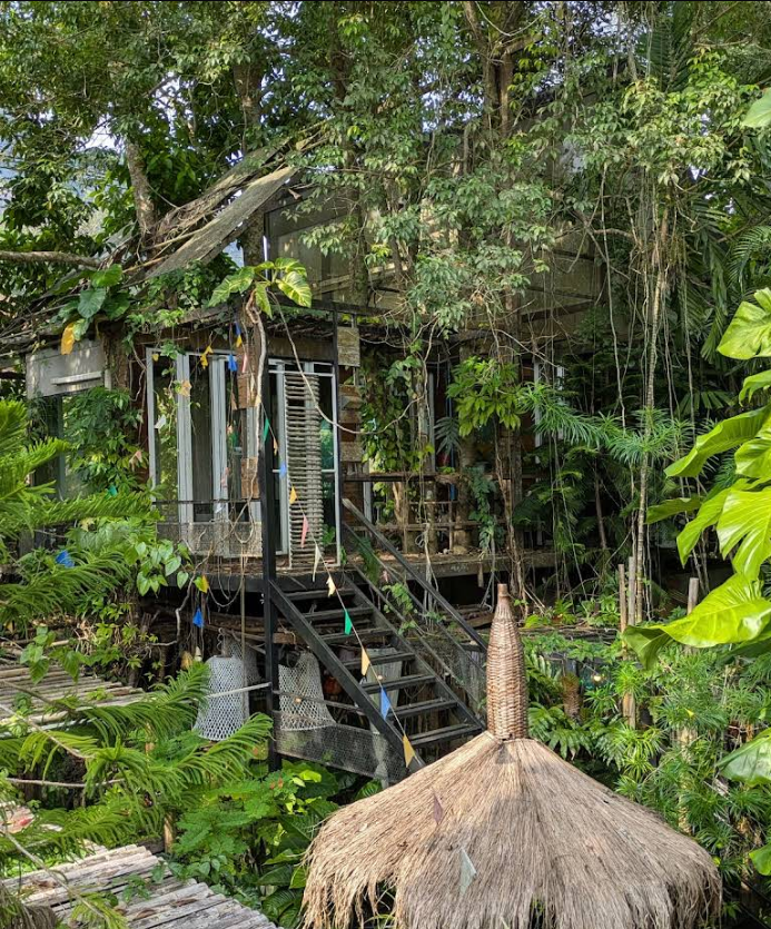 Cafe interior with natural lighting
