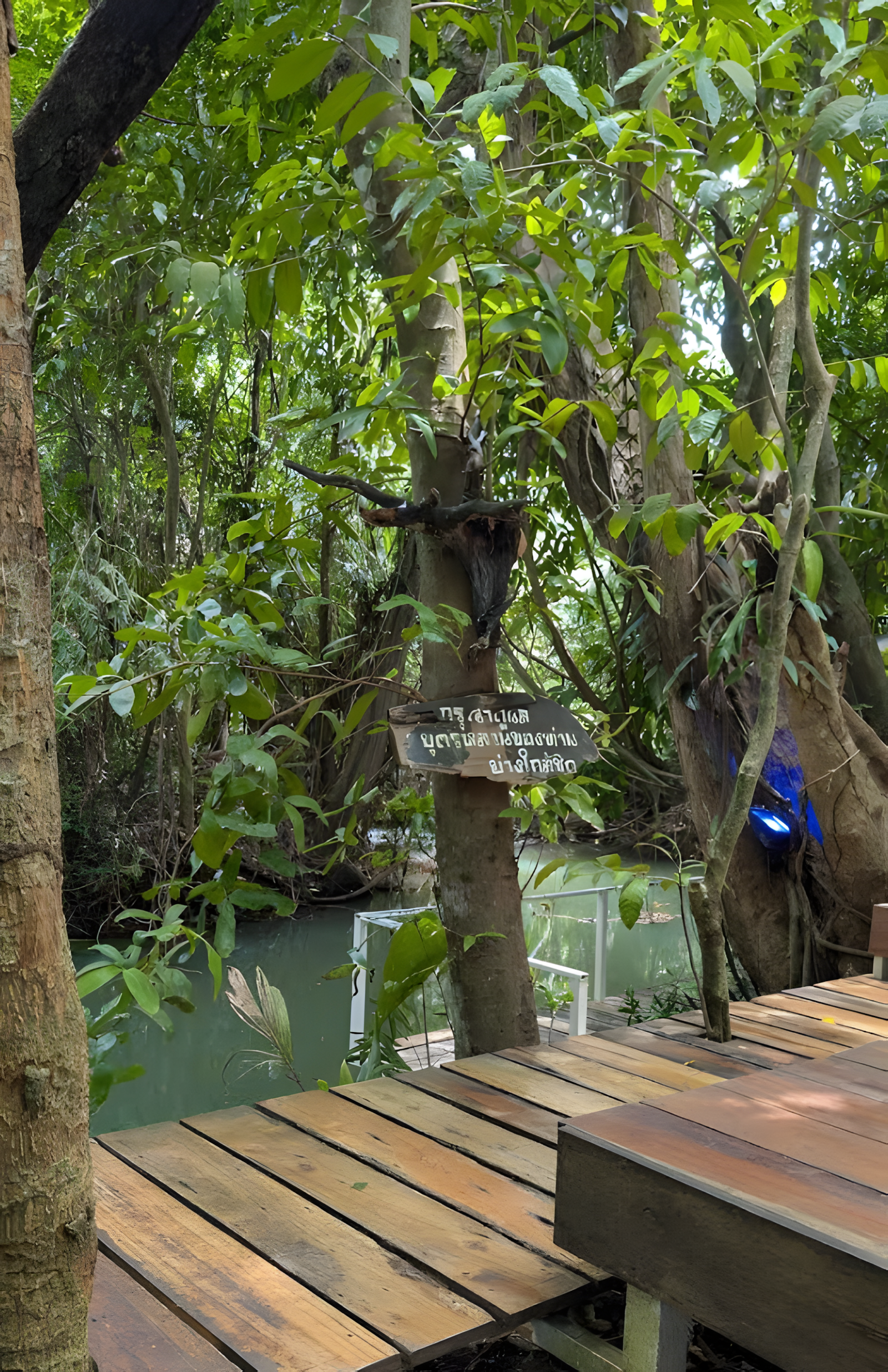 Mountain and nature views from the cafe
