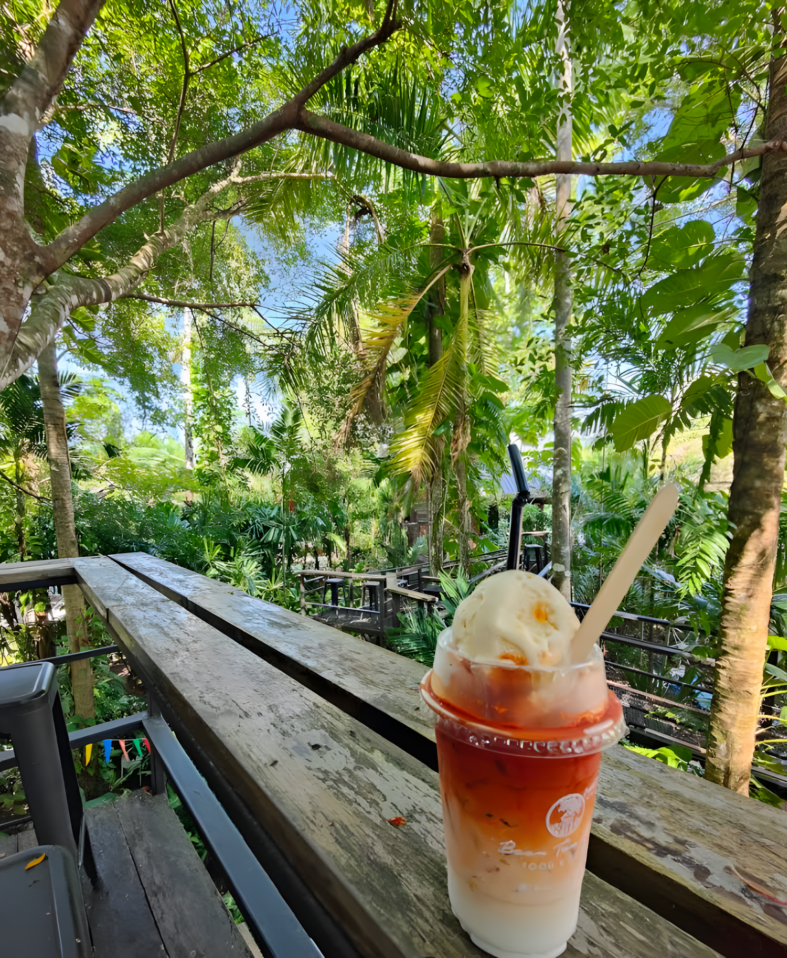 Lush tropical plants and greenery